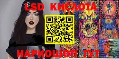 стафф Заводоуковск