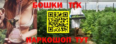 стафф Заводоуковск
